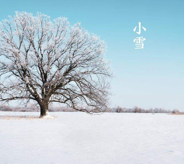 今日小雪：天地初寒，添衣保暖！