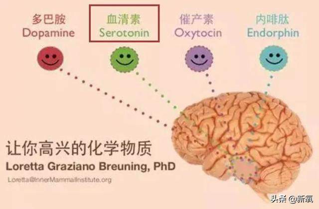 郑秀晶又胖着玩了，水桶腰、丸型臂，一年复胖2次身体能扛住吗？