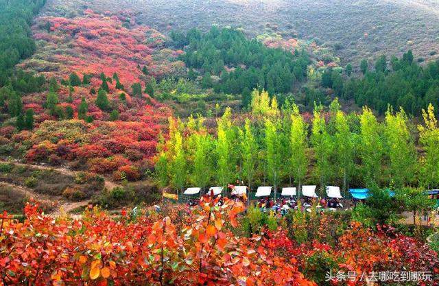 29.9元抢购临朐官护山红叶景区门票 可以欣赏满山红叶的美景啦