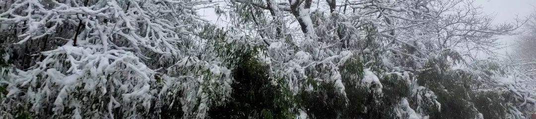 2019峨眉山的第一场雪，让你忘了初恋