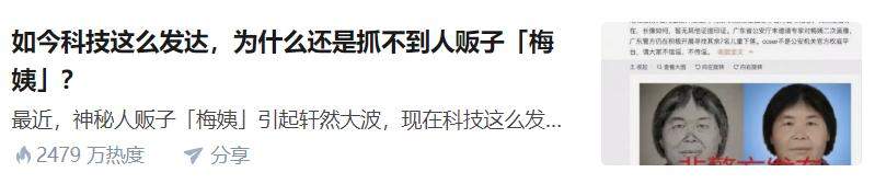 发动全国12亿人都找不到，人贩子梅姨为什么那么难抓？