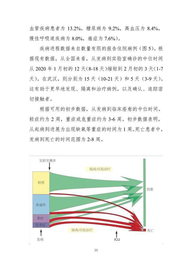 中国-世卫联合考察报告：新冠系动物源性病毒