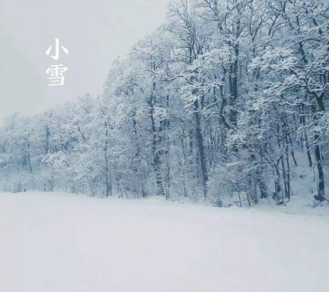 今日小雪：天地初寒，愿岁月安暖！