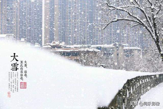 今日节气     大雪