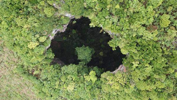 我国再次发现天坑群！海拔千米之上，植被群落完好