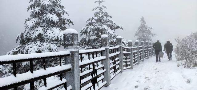 2019峨眉山的第一场雪，让你忘了初恋