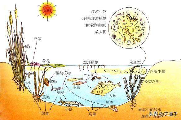 日本又发生7级大地震，种种迹象表明地球中心在发生着某种蜕变