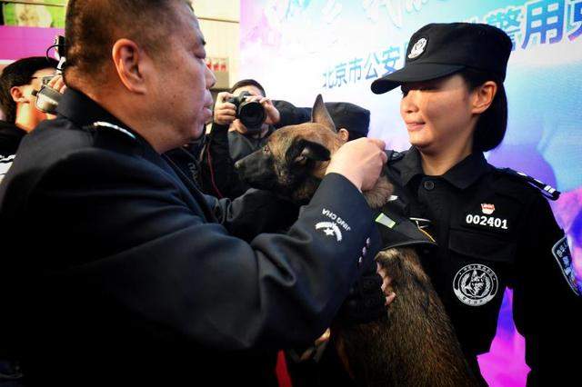 长大后，我就成了你！北京市公安局首批警用克隆犬正式入警