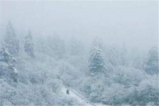 2019峨眉山第一场雪