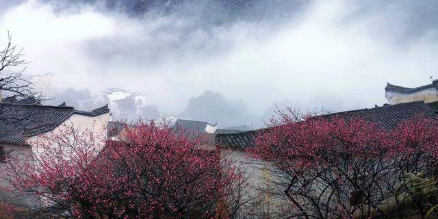 今日小雪，飞雪如花落 岁岁又年年