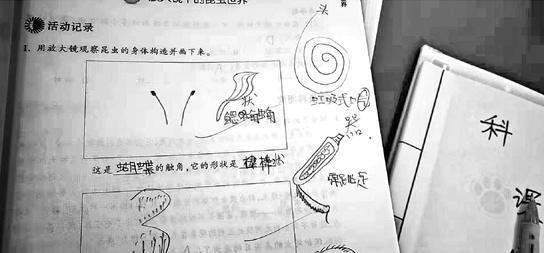 科学老师爱改错别字遭学生怼事件始末 小崽子写错字还质问老师也太6了