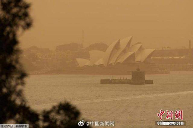 悉尼面临灾难级火灾风险！澳森林大火逼近悉尼城区