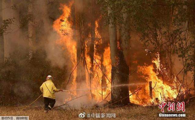 悉尼面临灾难级火灾风险！澳森林大火逼近悉尼城区