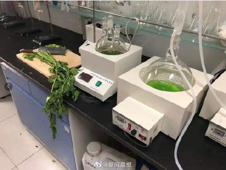 芹菜面膜问世引热议机构透露：正在研制大葱面膜