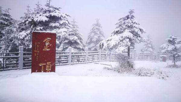 下！雪！啦！峨眉山迎来今冬第一场雪，厚度达10cm