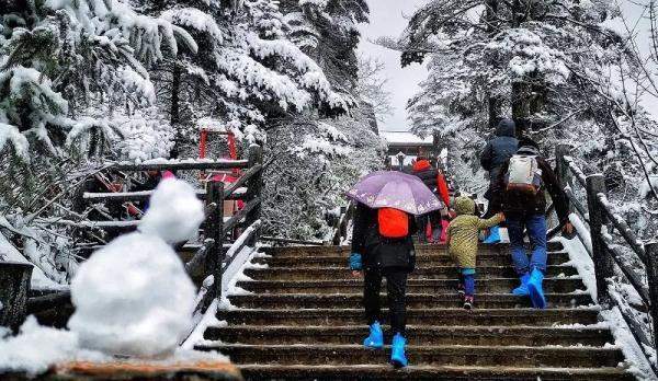 下！雪！啦！峨眉山迎来今冬第一场雪，厚度达10cm