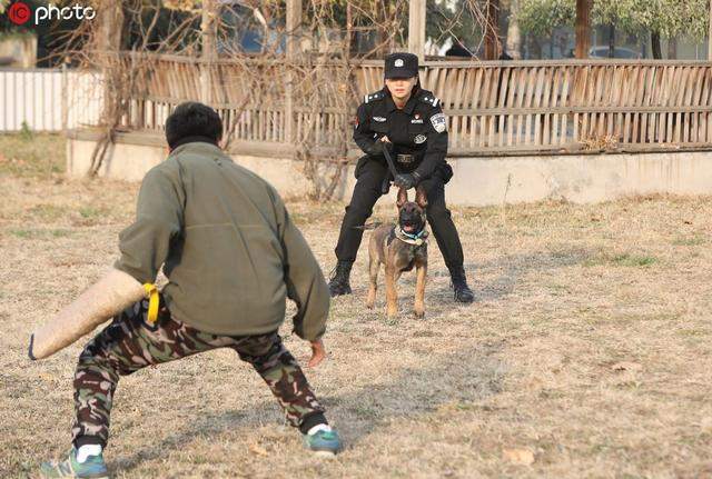 北京市公安局首批克隆犬正式入警