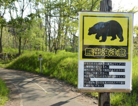 日本各地频现“熊出没”：偷吃东西还袭击人，原因竟是这个