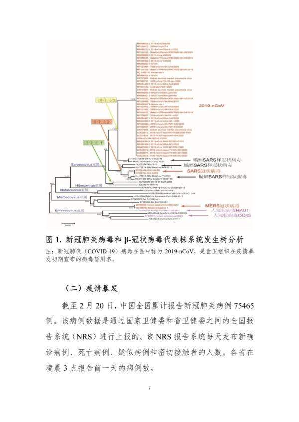 重磅！中国-世卫联合报告发布：新冠系动物源性病毒