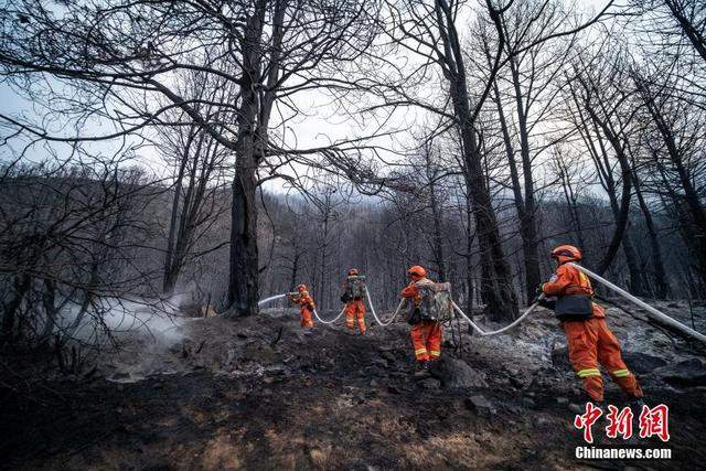 直击西藏林芝尼西村山火灭火救援现场 无人员伤亡 起火原因正在核查中