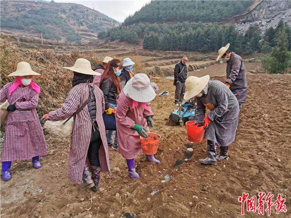 云南遭遇十年来最严重旱情 147万余人饮水困难