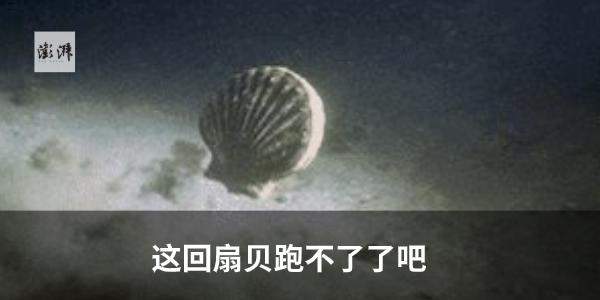 利物浦首夺英超冠军