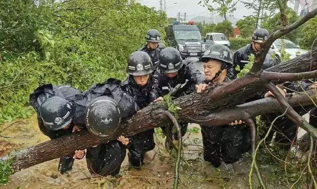 致敬台风中的你