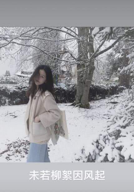 李嫣晒雪景美照还配诗 雪地里高冷的模样像极了王菲