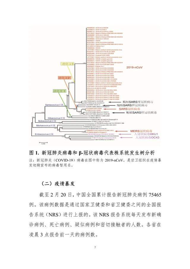 中国-世卫联合考察报告：新冠系动物源性病毒