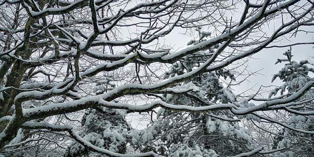 2019峨眉山的第一场雪，让你忘了初恋