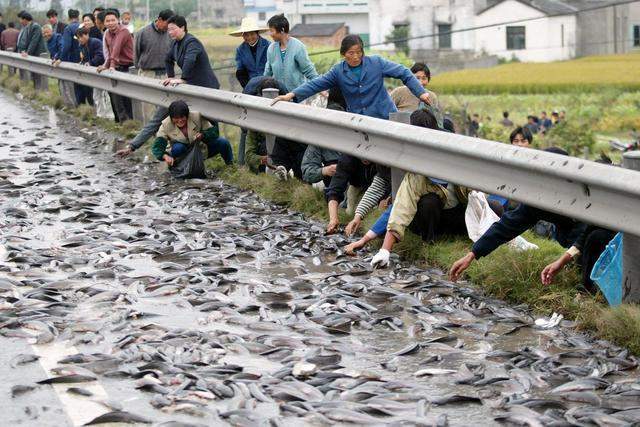 33吨井盖遭村民哄抢，货车司机无奈真想哭