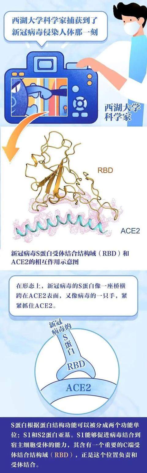 第一批疫苗已产生抗体！华南海鲜市场竟并非新冠病毒发源地？