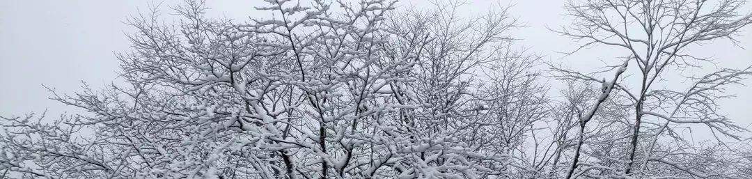 2019峨眉山的第一场雪，让你忘了初恋