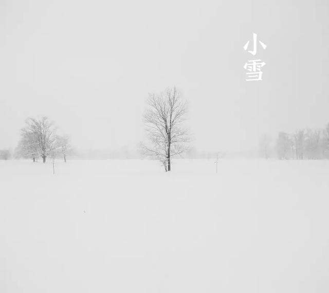 今日小雪：天地初寒，愿岁月安暖！