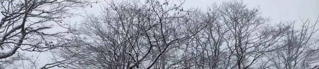 2019峨眉山的第一场雪，让你忘了初恋