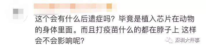 扩散！深圳所有犬只必须植入芯片，否则将视为无证养犬！但有人担心这个