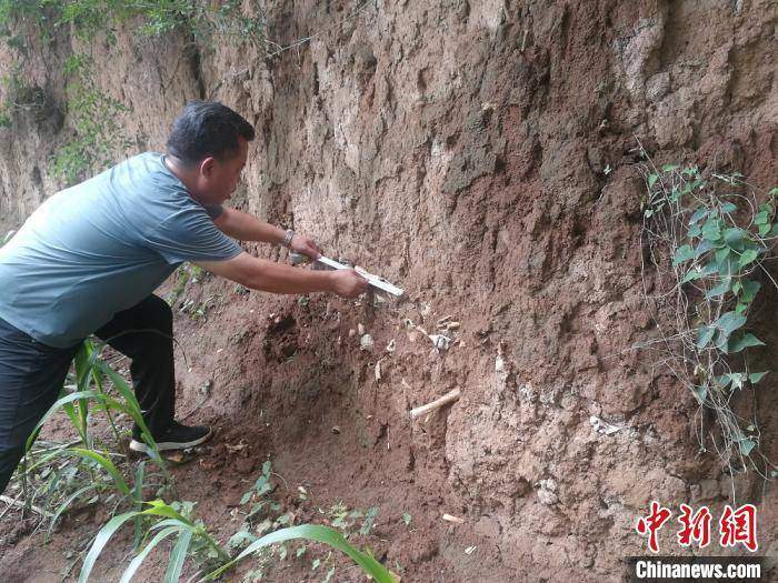 山西高平发现疑似长平之战尸骨坑当地文物部门回应