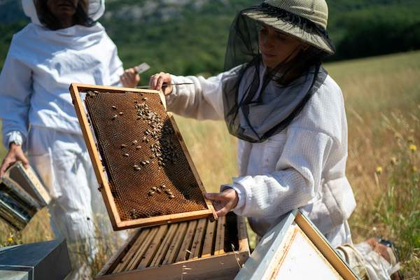 娇兰庆祝全球 WOMEN FOR BEES 项目 喜迎国际妇女节