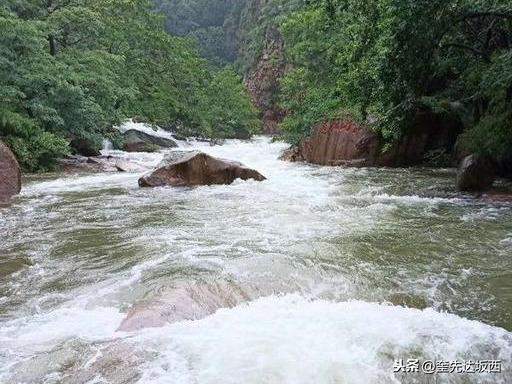 云树翠柏满山绿，雨后九水分外美