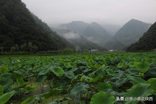 闯入秦岭云朵上的村落！地图上没有公路，抵达先要经过神秘大峡谷