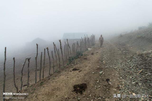 伊朗北方天然牧场，不仅牛羊肥沃，也是度假和避暑之处