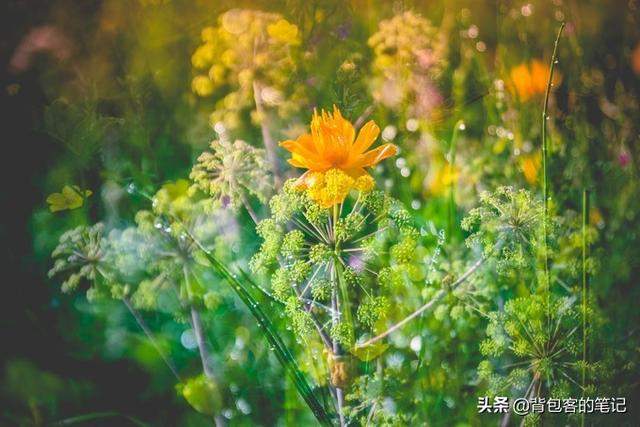 京津冀周边人少景美的避暑胜地，夏季平均气温不到20°