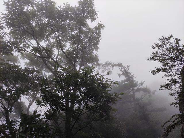 风雨交加的老君山之旅