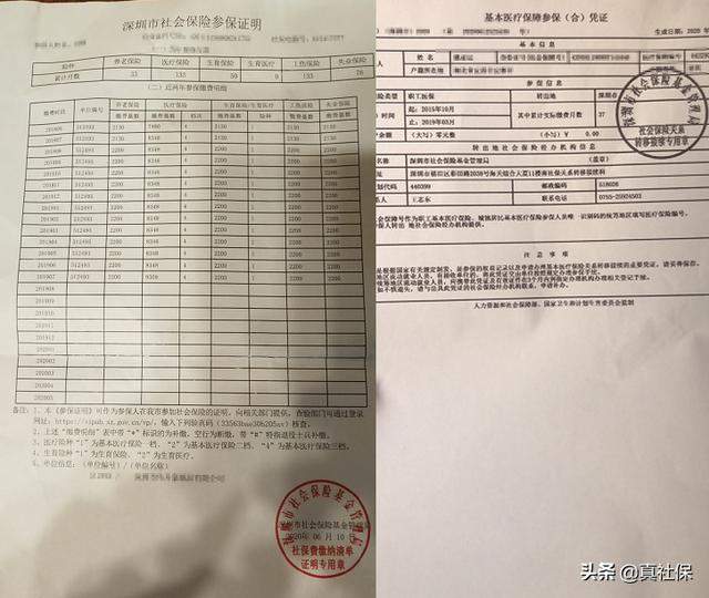 社保查询个人账户，社保缴费查询5种详尽方法，简单快捷方便