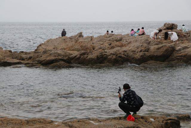 鸽子窝海滩的凌晨赶海钓鱼人