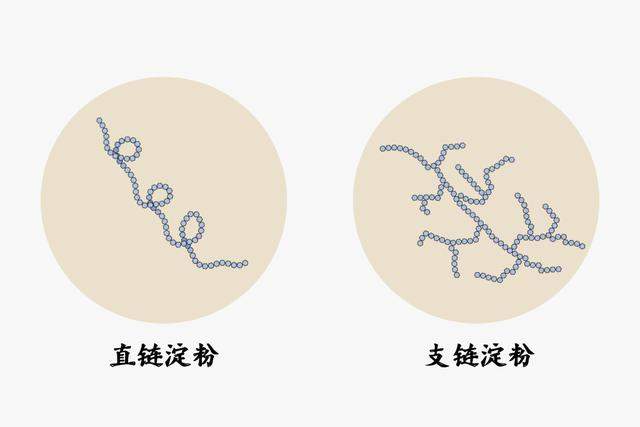 米是个大家族，红的、黄的、黑的、白的、紫的...