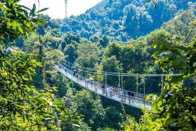 广西柳州最值得去的4A景区，以原始深山野林探险为特色，你想去吗