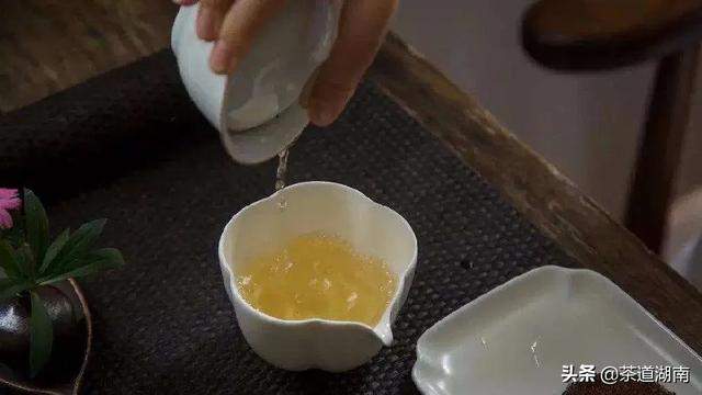 三伏天“拍了拍”你，喝茶来消暑