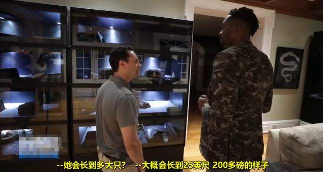 这是森林还是家？豪车宠物游泳池？你对NBA球员豪宅一无所知