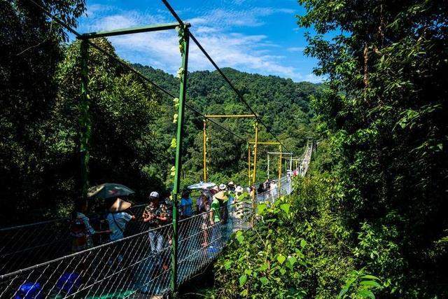 广西柳州最值得去的4A景区，以原始深山野林探险为特色，你想去吗